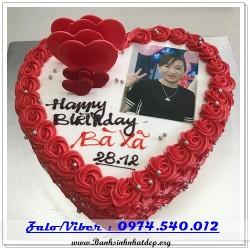 Mẫu Bánh Sinh Nhật Đẹp - A736